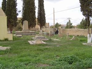 TELAGH LE CIMETIERE 15